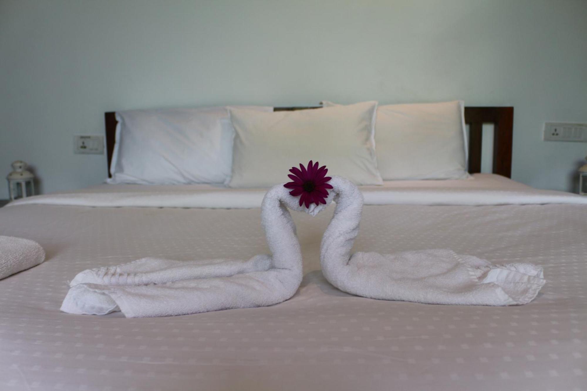 Logan Camp Ooty Hotel Coonoor Buitenkant foto