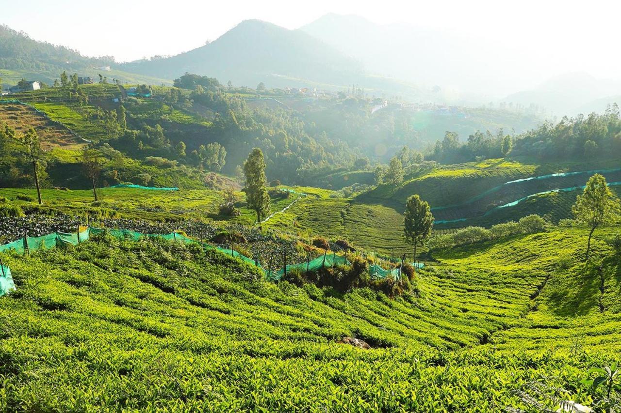 Logan Camp Ooty Hotel Coonoor Buitenkant foto